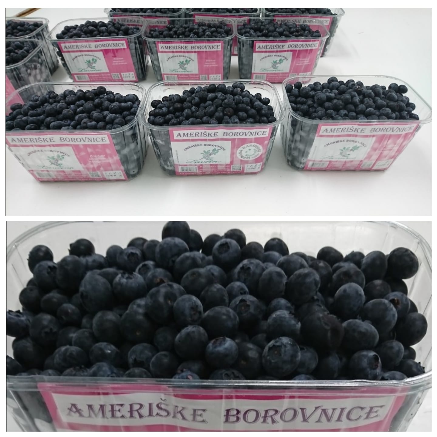 Packed fresh blueberries